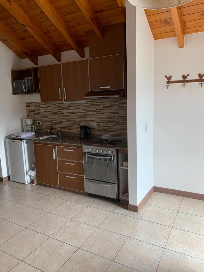 Departamento San Martin De Los Andes Centrico Y Moderno Luaran gambar